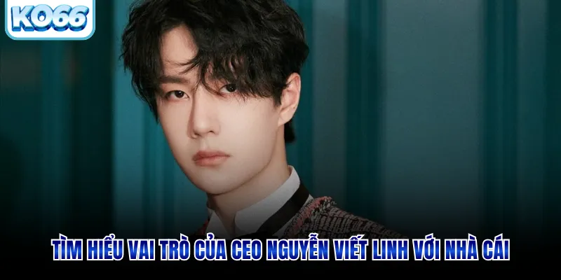 Tìm hiểu vai trò của CEO Nguyễn Viết Linh với nhà cái