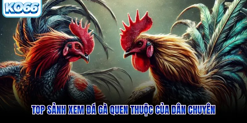 Top sảnh xem đá gà quen thuộc của dân chuyên